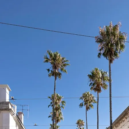 Plum Guide - Plumeria Lisbon
