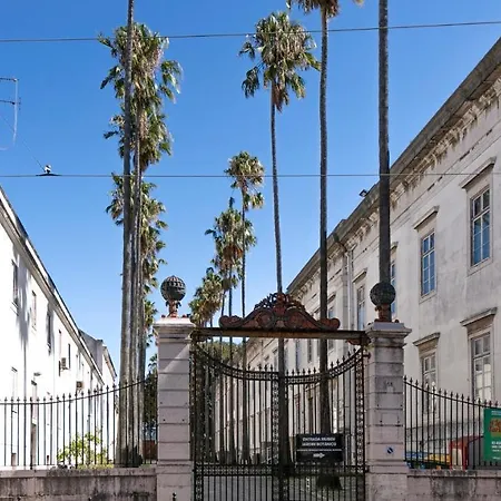 Apartment Plum Guide - Plumeria Lisbon